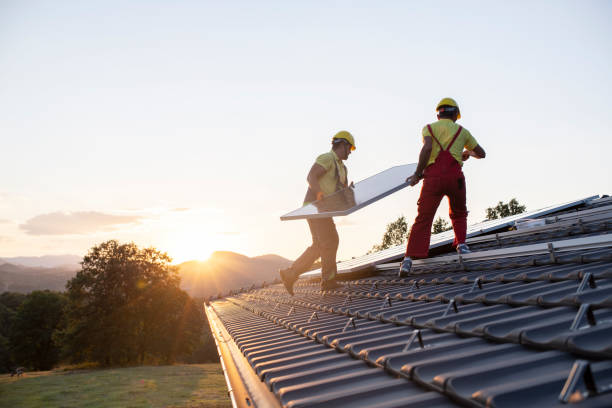 Best Roof Moss and Algae Removal  in Mikes, TX